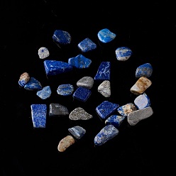 Lapislázuli Naturales lapis lazuli cuentas de chip, sin agujero / sin perforar, 5~10.5x5~7x2~4 mm