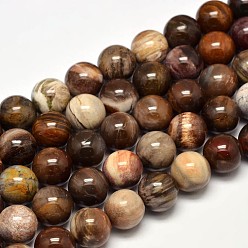 Pétrifié En Bois Bois pétrifié naturel brins de perles rondes, 8mm, Trou: 1mm, Environ 47 pcs/chapelet, 15 pouce