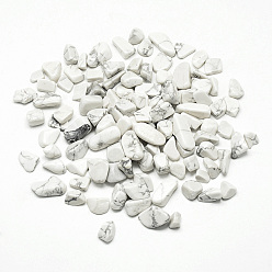 Howlite Perles howlite naturelles, pas de trous / non percés, puce, 5~20x5~10x3~10 mm, environ 850 pcs / 1000 g