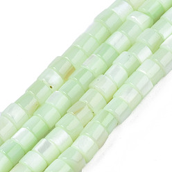 Light Green Natural Freshwater Shell Beads Strands, Dyed, Column, Light Green, 4x2.5mm, Hole: 0.5mm, about 131~134pcs/strand, 15.16~15.35 inch(38.5~39cm)