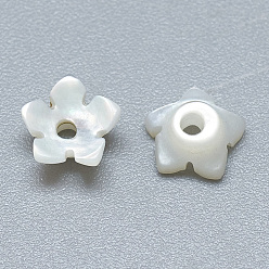 Coquillage De Mer Perles naturelles de coquillages blancs, perles en nacre, fleur, couleur de coquillage, 6x6x2.5mm, Trou: 1mm
