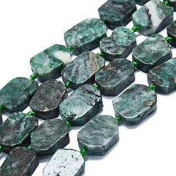 Natural Gemstone Natural Dioptase Beads Strands, Rectangle, 15~17x10~13x5~7mm, Hole: 1mm, about 22pcs/strand, 15.94''(40.5cm)