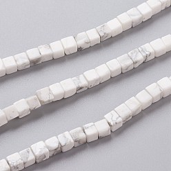 Howlite Natural Howlite Beads Strands, Cube, 4x4x4mm, Hole: 0.7mm, about 93pcs/Strand, 15.75 inch(40cm)