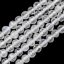 Rainbow Moonstone Natural Rainbow Moonstone Beads Strands, Grade AAA, Faceted Round, 3mm, Hole: 0.6mm, about 140pcs/strand, 15.35~15.47 inch(39~39.3cm)