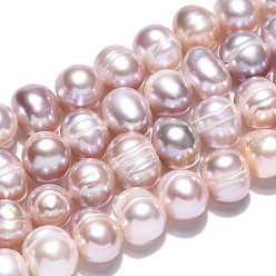 Plum Natural Cultured Freshwater Pearl Beads Strands, Potato, Plum, 6~9x6.5~7.5mm, Hole: 0.6mm, about 52~53pcs/strand, 13.58~13.78 inch(34.5~35cm)