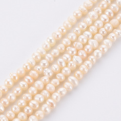 Beige Hilos de perlas de agua dulce cultivadas naturales, patata, crema, 2.5~3 mm, agujero: 0.5 mm, sobre 168 unidades / cadena, 13.58 pulgada