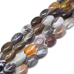 Botswana Agate Natural Botswana Agate Beads Strands, Oval, 12x6~8.5x5~6mm, Hole: 1.2mm, about 34pcs/strand, 15.75 inch(40cm)