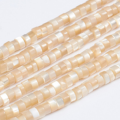 Bisque Natural Trochid Shell/Trochus Shell Beads Strands, Column, Bisque, 3.5~4x2~2.5mm, Hole: 0.8mm, about 176pcs/strand, 15.94''(40.5cm)