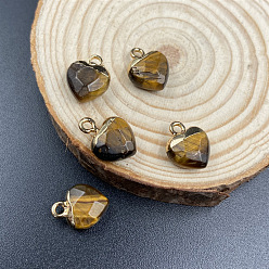 Tiger Eye Natural Tiger Eye Charms, with Golden Tone Metal Loops, Heart, 14x10mm