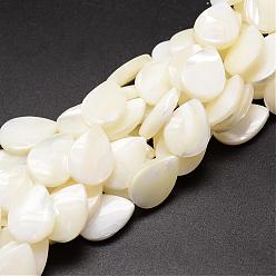 Ivoire Brins de perles de coquille de trochid / trochus shell, larme, blanc crème, 17~18x13x4mm, Trou: 1mm, Environ 23 pcs/chapelet, 15.75 pouce