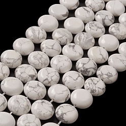 Howlite Chapelets de perles howlite naturelles , plat rond, 14.6~15.5x6~6.5mm, Trou: 0.8mm, Environ 27 pcs/chapelet, 15.59''~15.87'' (39.6~40.3 cm)