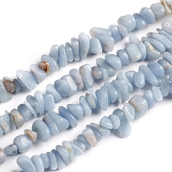 Angelite Natural Angelite Chips Beads Strands, Anhydrite Beads, 2.5~6x4.5~10.5mm, Hole: 0.8~1mm, about 33.86 inch(86cm)