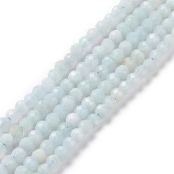 Amazonite Natural Amazonite Bead Strands, Faceted Round, 2mm, Hole: 0.8mm, about 190pcs/strand, 16 inch