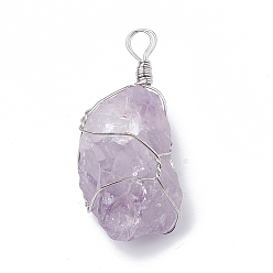Amethyst Natural Amethyst Pendants, with Brass Findings, Nuggets, Platinum, 45~50x25~40x14~25mm, Hole: 3~5mm