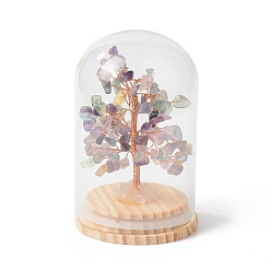 Fluorite Natural Fluorite Chips Money Tree in Dome Glass Bell Jars with Wood Base Display Decorations, for Home Office Decor Good Luck, 71x114mm