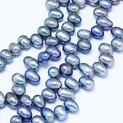 Bleu Bleuet Brins de perles de culture d'eau douce naturelles, pomme de terre, bleuet, 7~10x6~7mm, Trou: 0.8mm, Environ 65 pcs/chapelet, 13.7 pouce (35 cm)