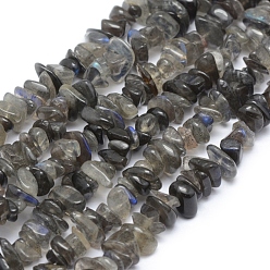 Labradorite Natural Labradorite Beads Strands, Grade A, Chip, 5~8mm, Hole: 0.8mm, about 16 inch(40.6cm)