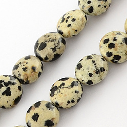 Beige Dalmatien naturel brins de perles de jaspe, lentilles, beige, 10x5mm, Trou: 1mm, Environ 40 pcs/chapelet, 15.7 pouce
