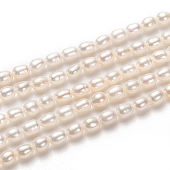 White Natural Cultured Freshwater Pearl Beads Strands, Rice, White, 5x4mm, Hole: 0.5mm, about 70pcs/strand, 14.57 inch(37cm)
