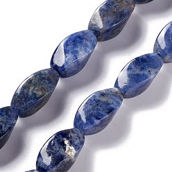 Sodalite Natural Sodalite Beads Strands, Twist, 17x8x8mm, Hole: 1mm, about 24pcs/strand, 15.55''(39.5cm)