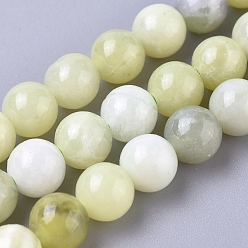 Jade Sinkiang Brins de perles de jade de Sinkiang naturel, ronde, 6mm, Trou: 1mm, Environ 60 pcs/chapelet, 14.96 pouce (38 cm)