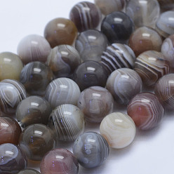 Botswana Agate Natural Botswana Agate Beads Strands, Round, 10mm, Hole: 1mm, about 39pcs/strand, 15.3 inch(39cm)