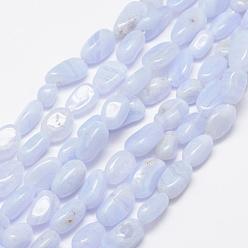 Blue Lace Agate Natural Blue Lace Agate Beads Strands, Tumbled Stone, Nuggets, 6~8x4~6mm, Hole: 1mm, 15.3 inch(39cm)