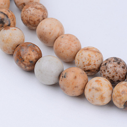 Picture Jasper Natural Picture Jasper Beads Strands, Round, 8~8.5mm, Hole: 1mm, about 47pcs/strand, 15.5 inch
