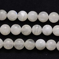 Rainbow Moonstone Brins de perles de pierre de lune arc-en-ciel naturel, ronde, blanc, 8mm, Trou: 1mm