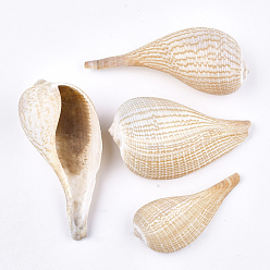 Pêche Perles de coquillages en spirale, perles non percées / sans trou, peachpuff, 86~126x42~66x31~45mm