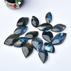 Labradorite Reiki Natural Labradorite Healing Stones, Horse Eye Worry Stone, Pocket Palm Stones for Reiki Ealancing, 35~50x25~30mm