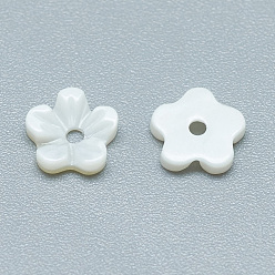 Seashell Color Freshwater Shell Beads, Flower, Seashell Color, 6x6x1mm, Hole: 1mm