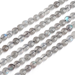 Labradorite Natural Labradorite Beads Strands, Flat Round, Faceted, 4x3mm, Hole: 0.8mm, about 88pcs/strand, 14.57 inch(37cm)