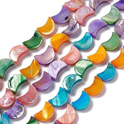 Coloré Eau douce naturelle de coquillage perles brins, teint, lune, colorées, 10x7.5x3mm, Trou: 0.6mm, Environ 32 pcs/chapelet, 12.80 pouce (32.5 cm)