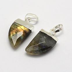 Labradorite Natural Labradorite Pendants, with Brass Findings, Long-Lasting Plated, Faceted, Cultellate, Silver Color Plated, 19x10.5x5mm, Hole: 4x6mm