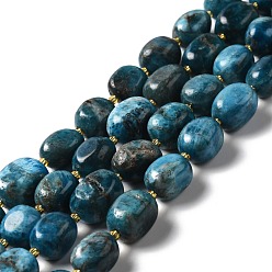 Apatite Natural Apatite Beads Strands, Oval, 9.5~19.5x8~13.5x5.5~13mm, Hole: 0.9~1.2mm, about 24~27pcs/strand, 14.96~15.55''(38~39.5cm)