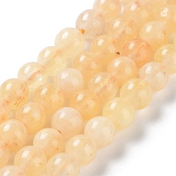 Gold Dyed Natural Malaysia Jade Beads Strands, Round, Gold, 6mm, Hole: 1mm, about 31pcs/strand, 7.48 inch(19cm)