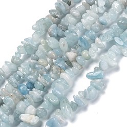 Aigue-marine Aigue-marine naturelle brins de perles, puce, 3~16x3~8mm, Trou: 0.7mm, 32.28'' (82 cm)