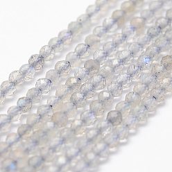 Labradorite Chapelets de perles labradorite naturelle , facette, ronde, 2mm, Trou: 0.5mm, Environ 175 pcs/chapelet, 14.9 pouce (38 cm)