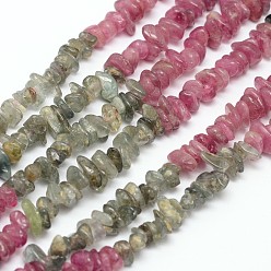 Couleur Mélangete Croustilles tourmaline naturelle brins de perles, couleur mixte, 3~5x3~5x3~5mm, Trou: 1mm, environ 16 pouce