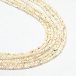 Light Goldenrod Yellow Natural Trochid Shell/Trochus Shell Bead Strands, Round, Light Goldenrod Yellow, 2~2.5mm, Hole: 0.3mm, about 175~180pcs/strand, 15.7 inch