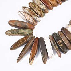 Picasso Jasper Natural Picasso Stone/Picasso Jasper Beads Strands, Graduated Strip, 18~46x4~8x6~9mm, Hole: 1mm, about 55~64pcs/strand, 15.7 inch~16.5 inch