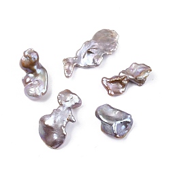 Lila Perlas barrocas naturales barrocas, cuentas de perlas de agua dulce, ningún agujero, pepitas, lila, 18~34x14~15x2~7 mm