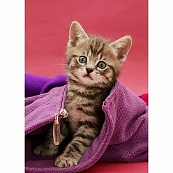 Roja Kits de pintura de diamantes con tema de gato rectangular diy, incluyendo lienzo, diamantes de imitación de resina, bolígrafo adhesivo de diamante, plato de bandeja y arcilla de cola, rojo, 300x400 mm