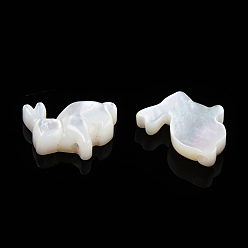 White Shell Natural White Shelll Beads, Rabbit, 11x12x3mm, Hole: 0.9mm