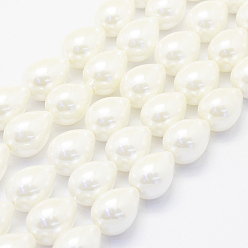 Ivoire Chapelets de perles nacrées, larme, blanc crème, 18x13mm, Trou: 1mm, Environ 23 pcs/chapelet, 15.7 pouce (40 cm)