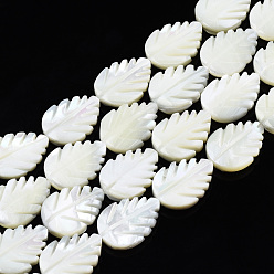 White Natural Trochid Shell/Trochus Shell Beads Strands, Bleach, Leaf, White, 17.5~18x13x4mm, Hole: 0.8mm, about 23pcs/strand, 16.02 inch~16.14 inch(40.7~41cm)