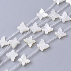 White Natural White Shell Beads, Mother of Pearl Shell Beads, Butterfly, White, 7x8x2.5mm, Hole: 0.6mm