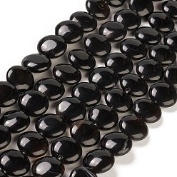Agate Noire Naturelles agate perles brins, plat rond, 14.6~15.5x6~6.5mm, Trou: 0.8mm, Environ 27 pcs/chapelet, 15.59''~15.87'' (39.6~40.3 cm)