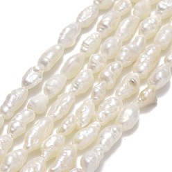 Lino Hilos de perlas de agua dulce cultivadas naturales, cuentas de perlas keshi, pepitas, lino, 4~5.5x3~3.5 mm, agujero: 0.5 mm, sobre 58~60 unidades / cadena, 13.78'' (35 cm)